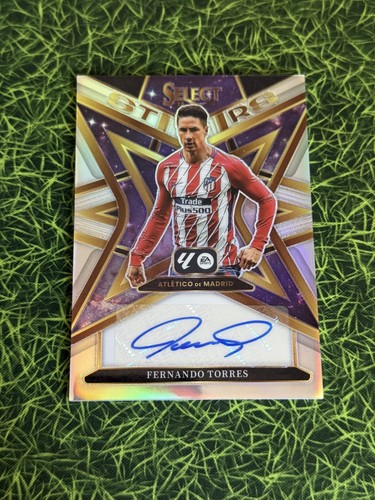Fernando torres auto - fernando,