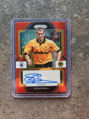 Steve bull auto - auto, star