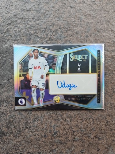 Destiny udogie auto - udogie,