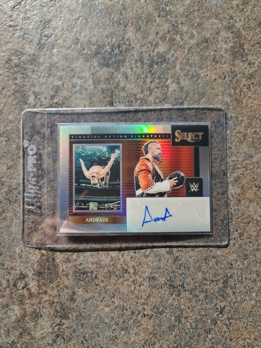 Andrade auto panini - panini, select