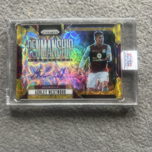Ashley westwood 2024 - ashley, panini