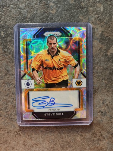 Steve bull auto choice panini - bull,