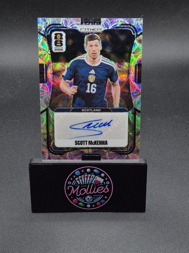 2026 panini prizm world cup - prizm,