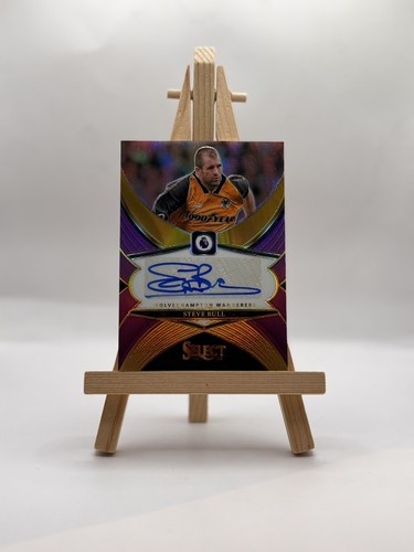 2024 panini select steve - panini,