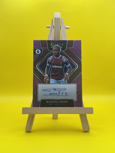 2022 panini select epl - panini,