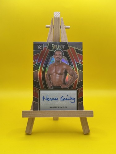 2024 panini select wwe - 2024, norman